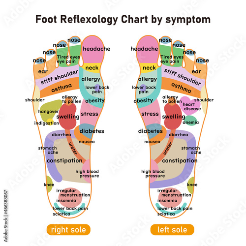 症状別足裏の反射区・足つぼ　図解イラスト(英語版)