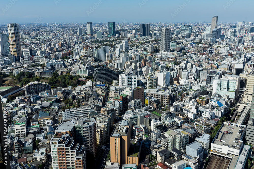 Fototapeta premium 都市の風景 高層ビルからの都市景観