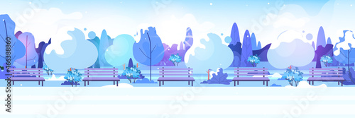 winter city park snowy trees and wooden benches beautiful nature landscape background horizontal