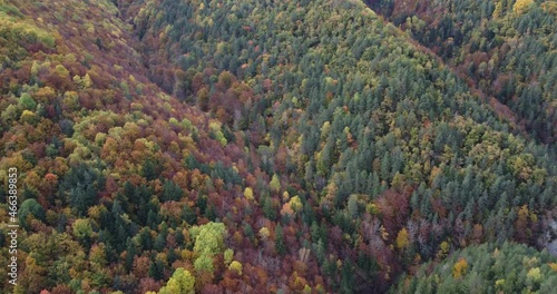 Aerial footage over pyrenees mountain forest in autumn in north Spain beautiful colors