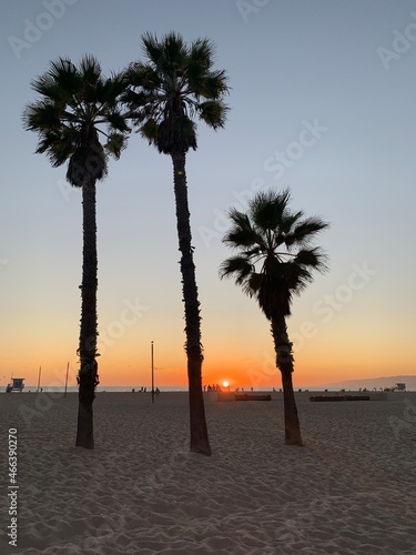 sunset on the beach