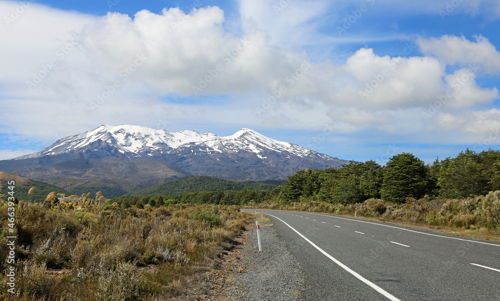 Road to Tongariro NP, New Zealand