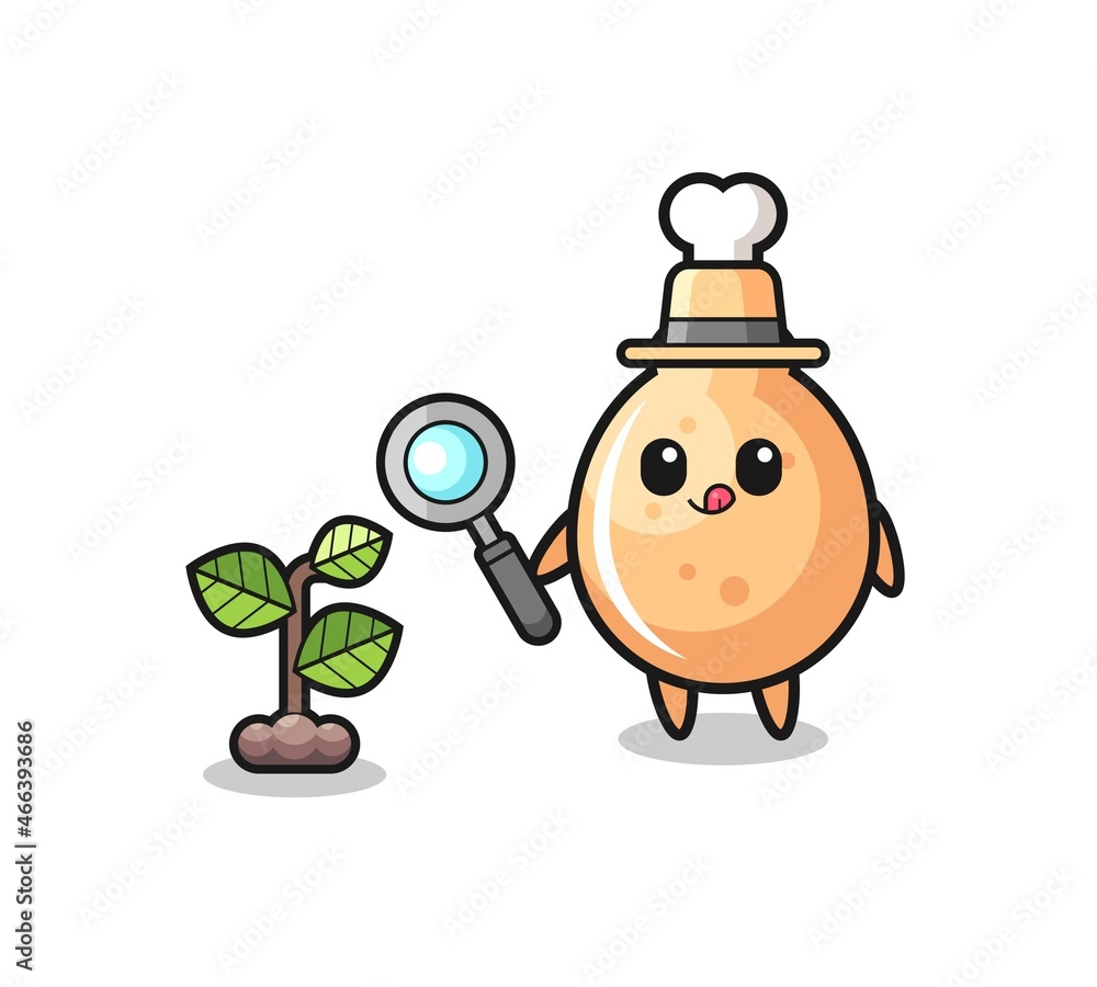 Fototapeta premium cute fried chicken herbalist researching a plants