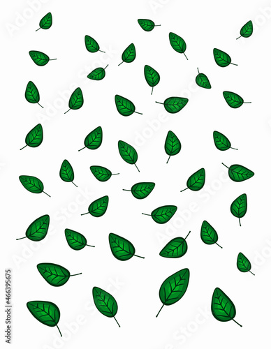 Summer bright vector illustration. Green summer background. Falling leaves. Green leaves. Template for cards, business cards, packaging and other uses.