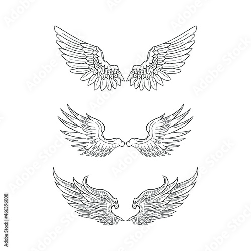 wings set illustration vector hand drawing