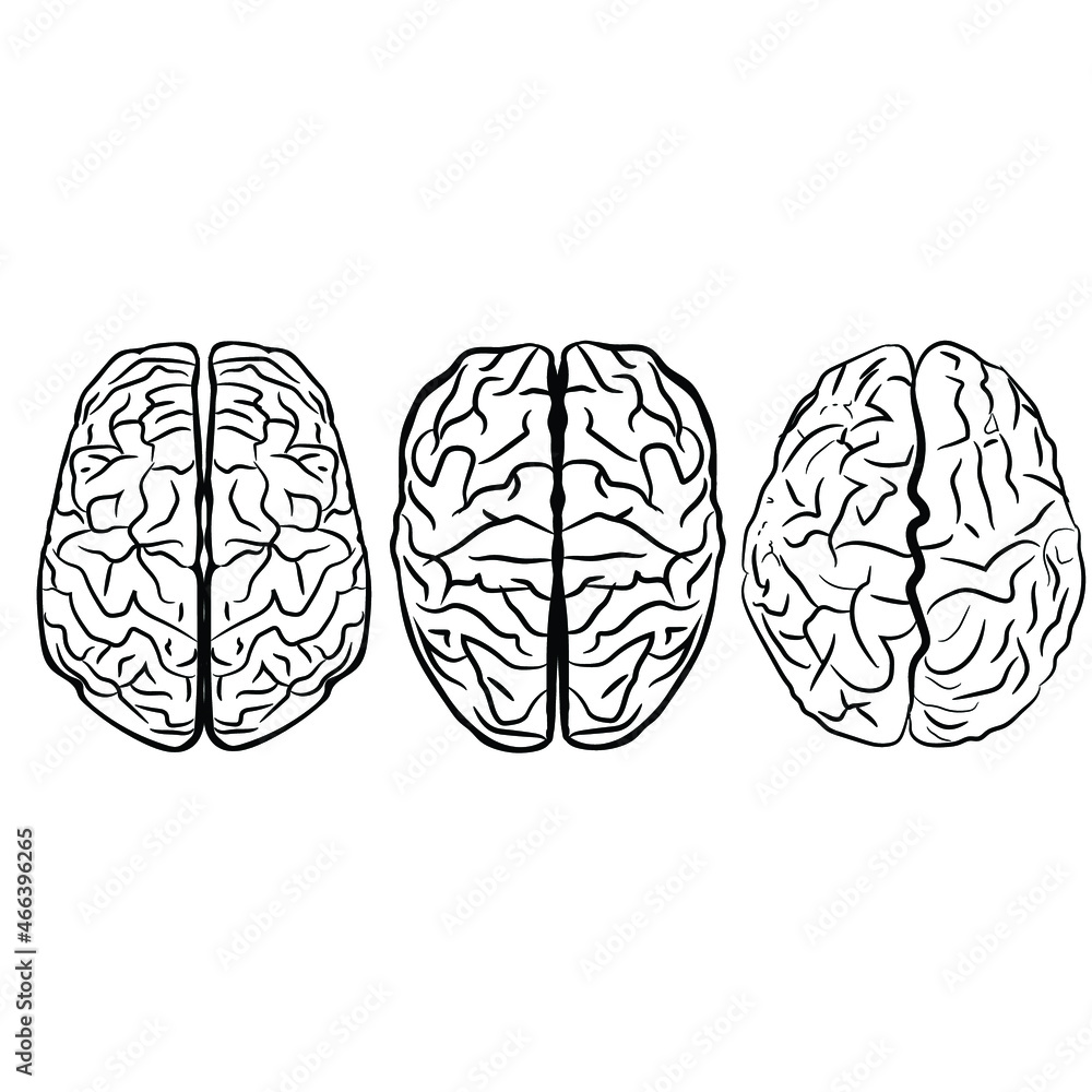 Fototapeta premium brain icon, background, vector, package
