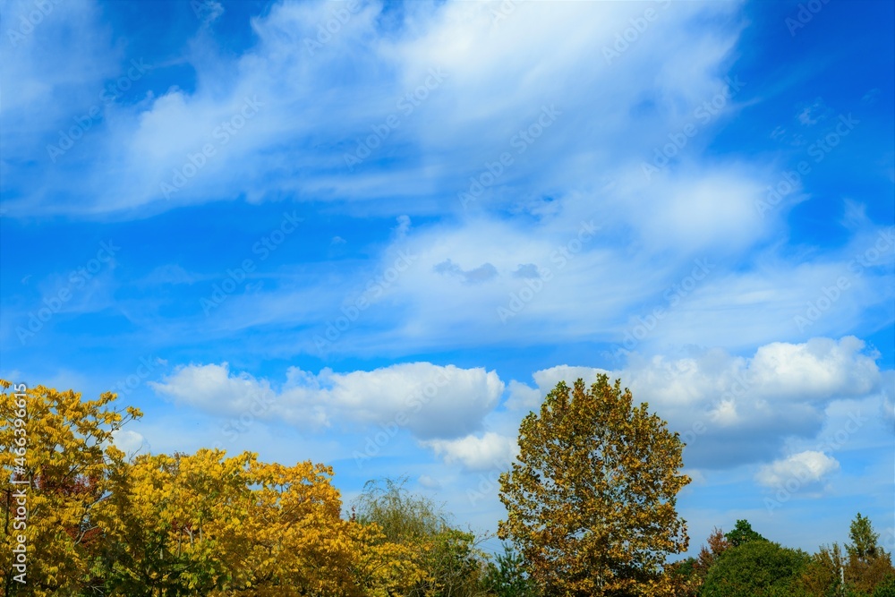 autumn landscape with blue sky