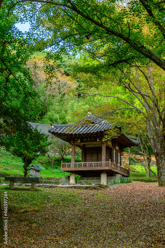 Korea garden in autumn