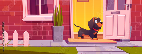 Cute dachshund dog stand at home door, pet going for a walk. Domestic animal cartoon funny character at cottage doorway with window, red brick and fence, puppy at house outside, Vector Illustration