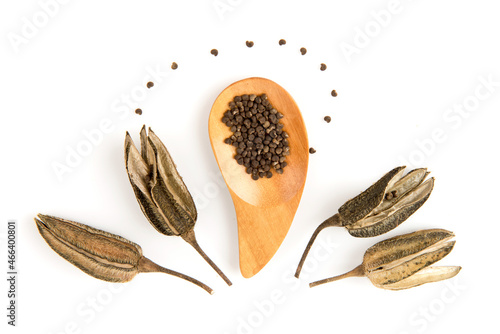 Abelmosk or Abelmoschus moschatus dried fruits and seeds isolated on white background.top view,flat lay. photo