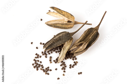 Fototapeta Naklejka Na Ścianę i Meble -  Abelmosk or Abelmoschus moschatus dried fruits and seeds isolated on white background.top view,flat lay.