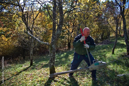 Man using equipment for pulling tree trunk while cutting tree