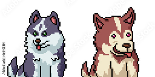 pixel art siberian husky puppy