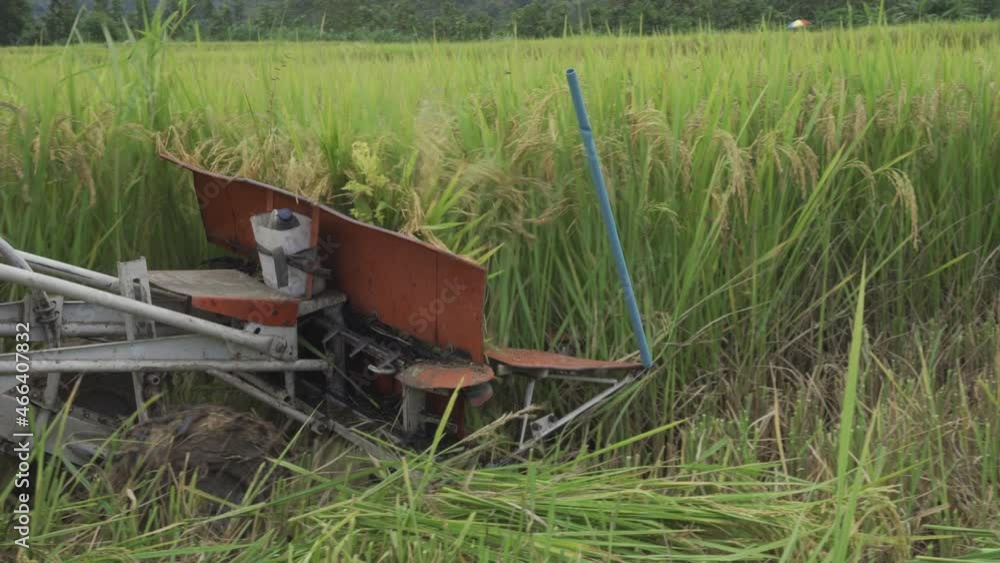 A farmer farms harvesters in a rural village in Thailand on a sunny day. A farmer farms harvesters in a rural village in Thailand on a sunny day.