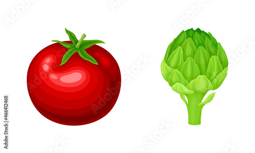 Red Tomato and Artichoke as Ripe Vegetable and Healthy Raw Food Vector Set