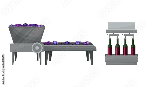 Destemmed Grapes on Conveyor Belt and Bottling Process Vector Set