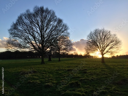 Park at sunset