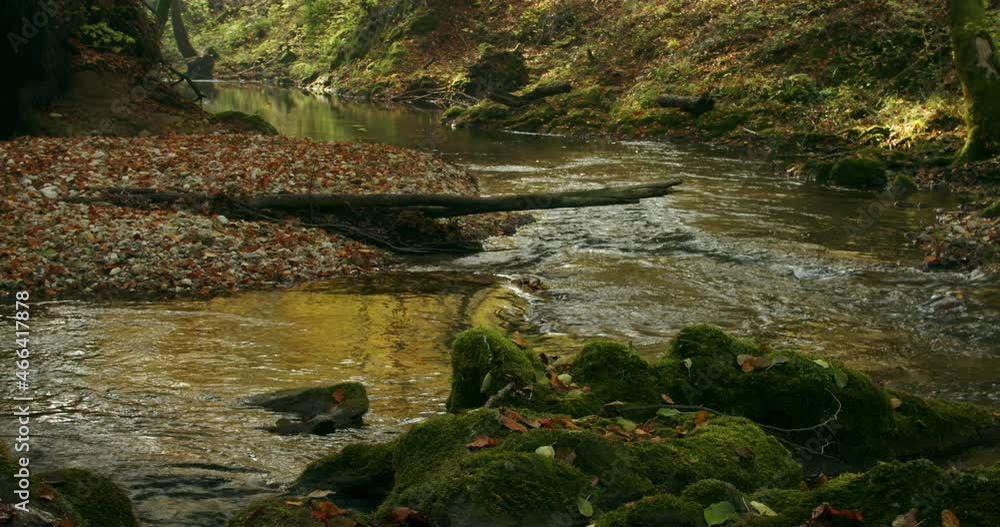 Mountain forest stream in autumn, Zumberak, Croatia Mountain forest stream in autumn, Zumberak, Croatia