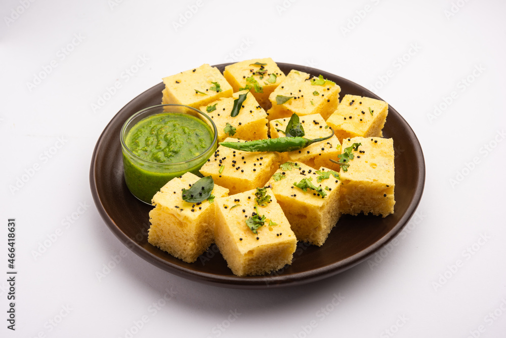 Gujarati Snack Khaman Dhokla