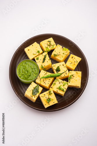 Gujarati Snack Khaman Dhokla photo