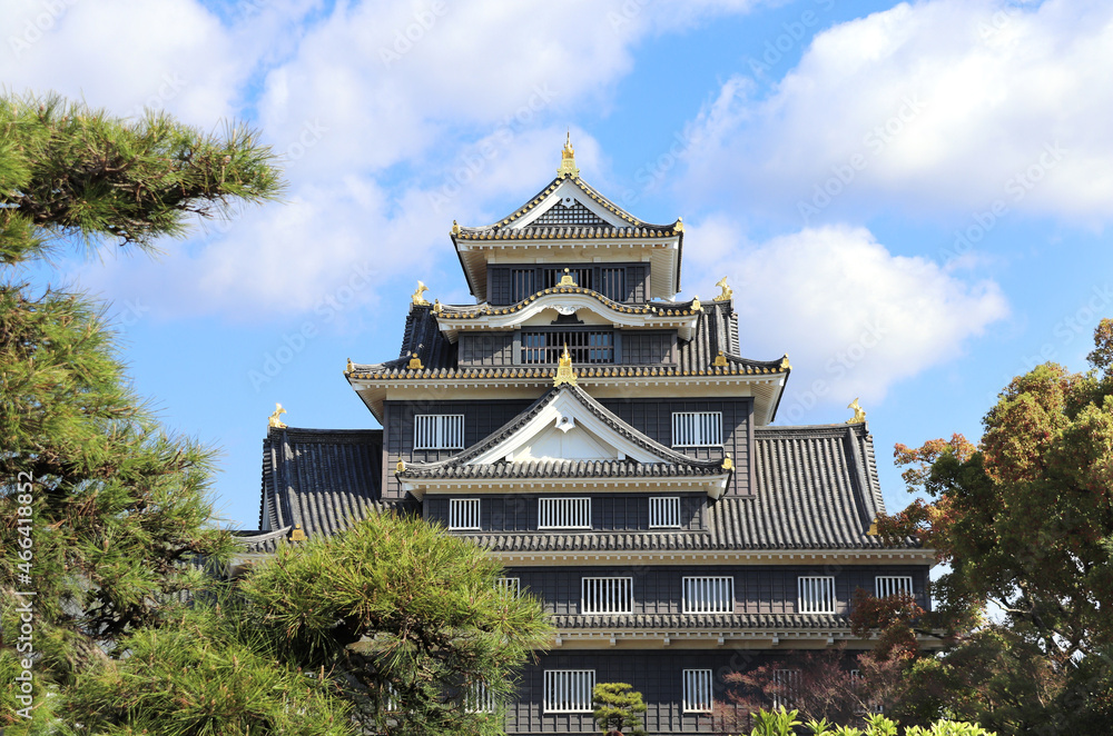 Okayama castle (Ravens Castle, Black castle), Okayama, Japan