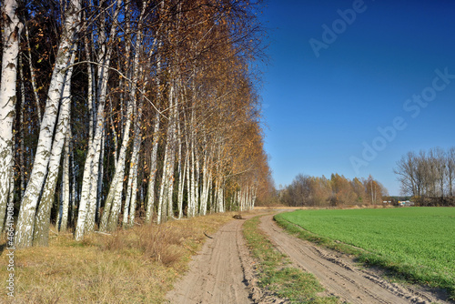 Fototapeta Naklejka Na Ścianę i Meble -  charset=Ascii