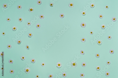 Blue paper background decorated with fresh flowers