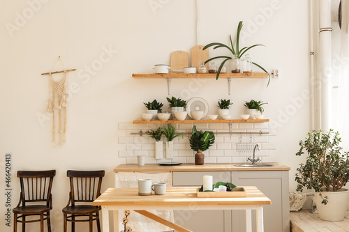 Stylish scandinavian open space with kitchen accessories and plants.