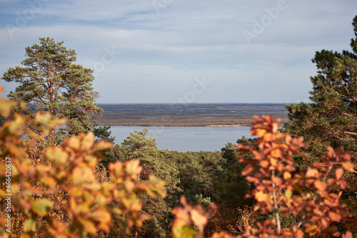 Autumn landscape. Bright and colorful trees in Amur region photo