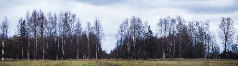 Fototapeta premium Wide panorama of autumn nordic landscape. Trees without foliage and yellow-brown grass. Grey sky. Copy space