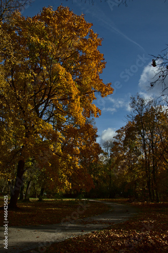 Park Poniatowskiego Łódź photo