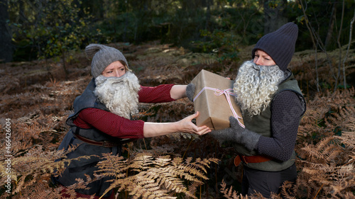 Nordic gnomes arguing over wrapped package