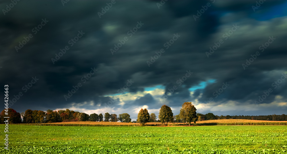 Jesienny Krajobraz z Chmurami  - obrazy, fototapety, plakaty 