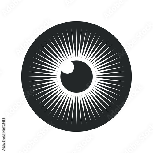Eye iris vector icon. Optic eyesight and look symbol. View or watch sign. Optician logo. Isolated on white background.
