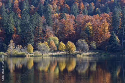lac des Vosges en automne