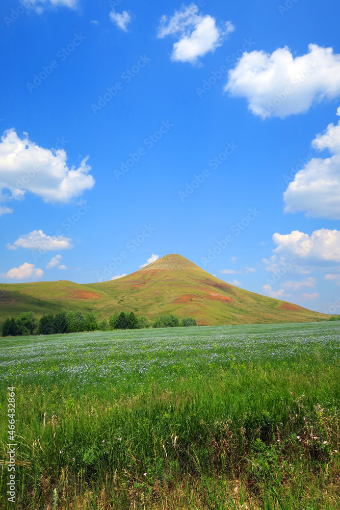 Fototapeta premium beautiful summer landscape