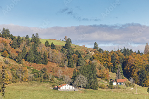 paysage des Vosges en automne