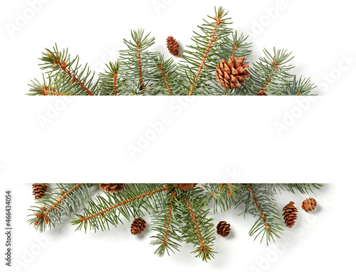 Fir tree branches on white banner