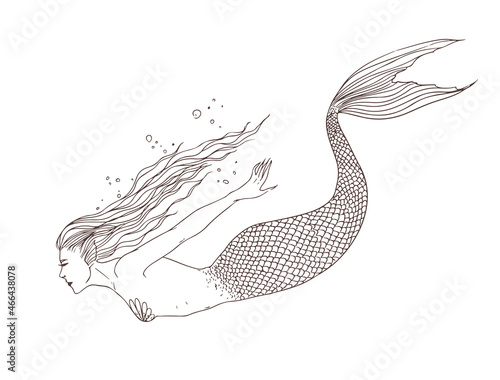 Photos Mermaid under the water, side view, hand drawn contour illustration