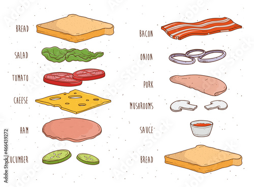 Sandwich ingredients separately. Bread, salad, tomato, cheese, sauce, mushrooms, bacon, onion. Colorful hand drawn vector illustration.