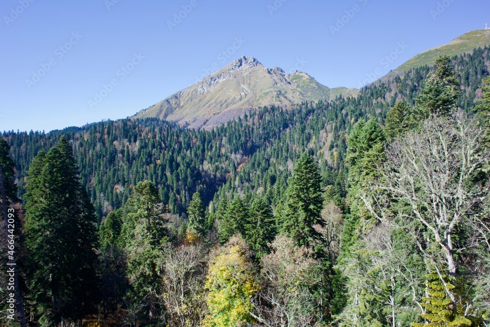 Fototapeta premium Beautiful landscapes of mountain ranges of the Caucasus Mountains in the Krasnaya Polyana region of Sochi, Russia