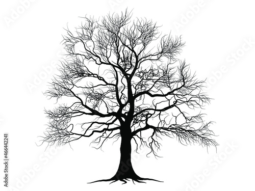 Black Branch Tree or Naked trees silhouettes. Hand drawn isolated illustrations.