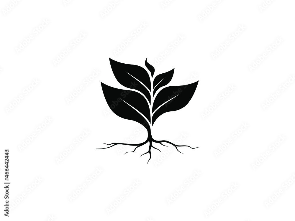 Isolate plant and root with isolate leaves look beautiful and refreshing. Tree and roots LOGO style.