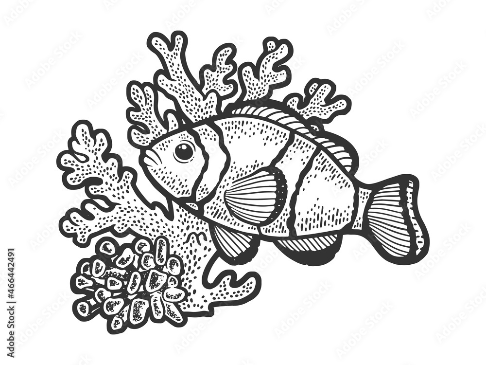 Obraz premium clown fish in coral sketch raster illustration