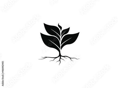 Isolate plant and root with isolate leaves look beautiful and refreshing. Tree and roots LOGO style.