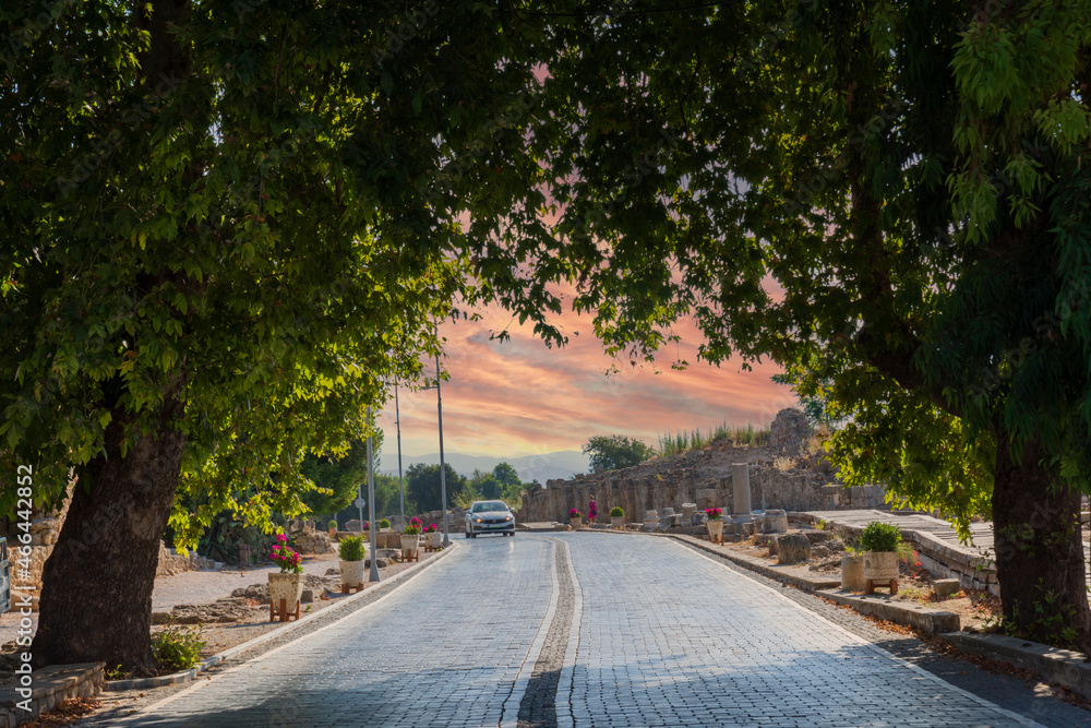 Views of the stone paved road leading from the entrance gate of the ancient city of Side towards the city center. Cloudy Sunset Sky, trees, and road view. no people