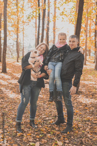 Family spend time in autumn park with a dog. Father, mother and daughter and jack russell terrier dog having fun in fall © satura_