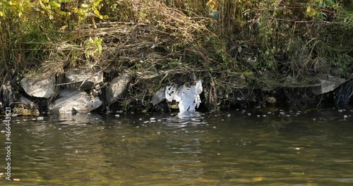 Water pollution - Plastic bag thrown into small river