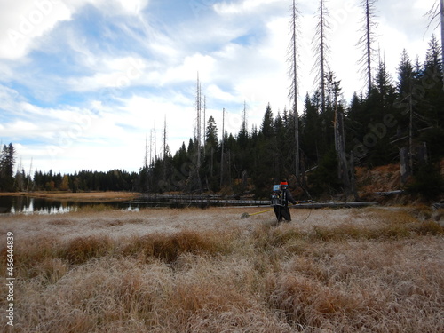 Lake Laka with floating islands on the surface is the smallest, shallowest and highest glacial lake in Šumava photo