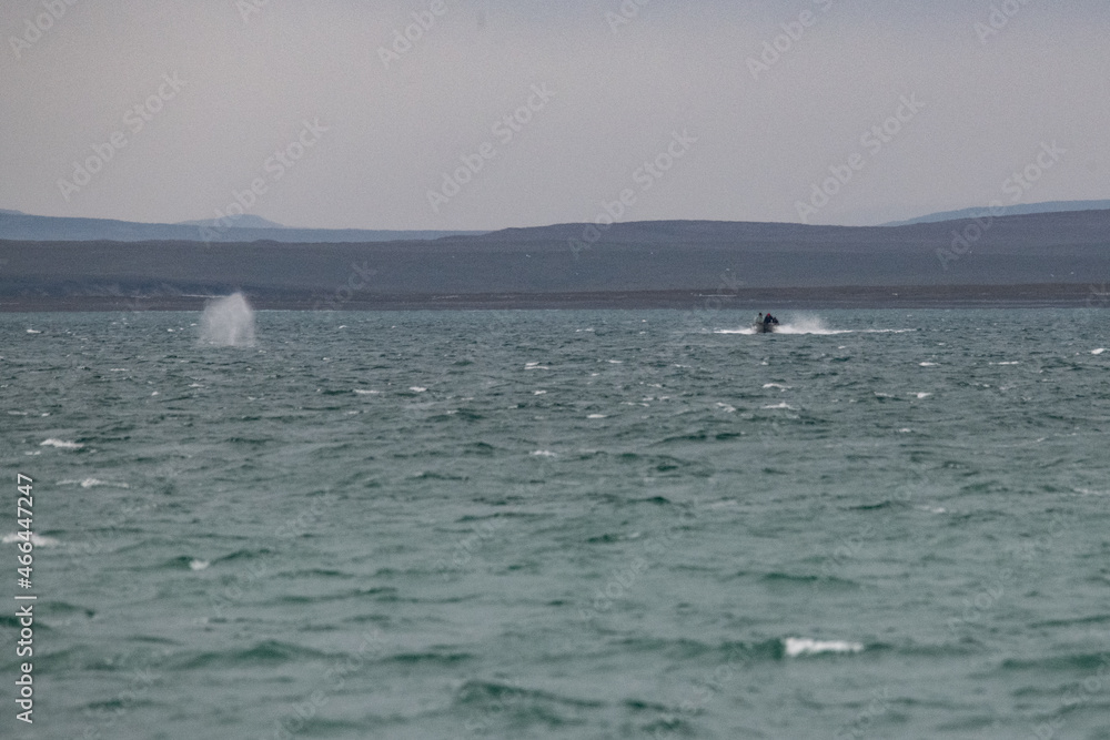 Obraz premium Arctic landscape